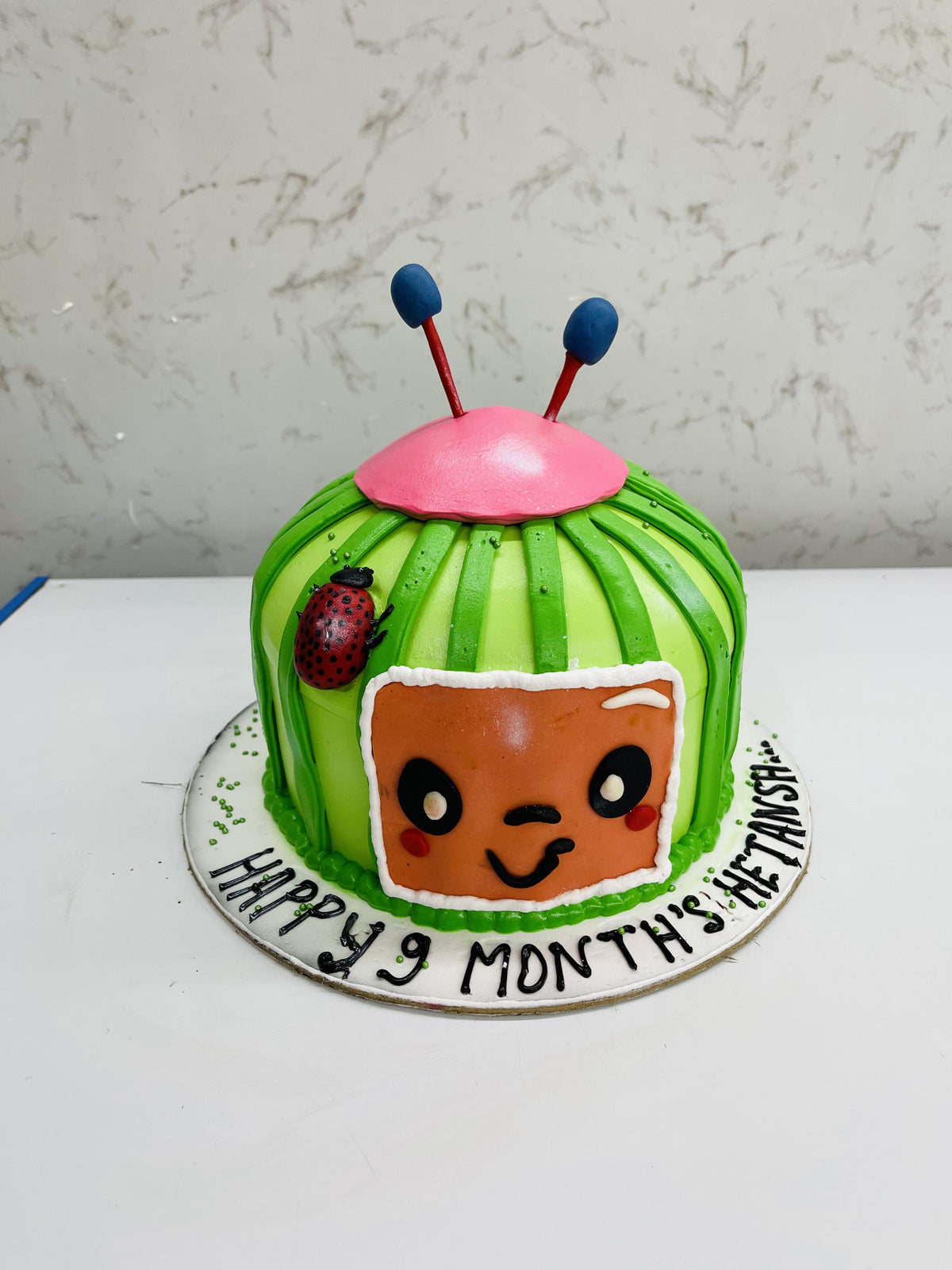 Watermelon Theme Cake